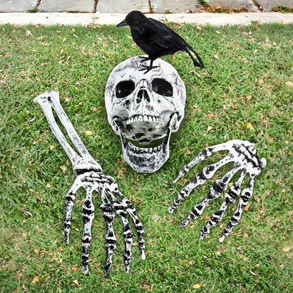 Skeleton Head Outdoor Scary Props Realistic Skull