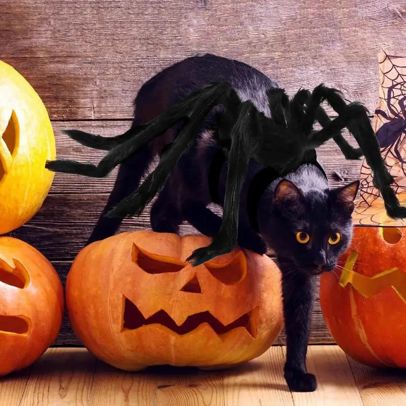 Pet Spider Costume for Pets